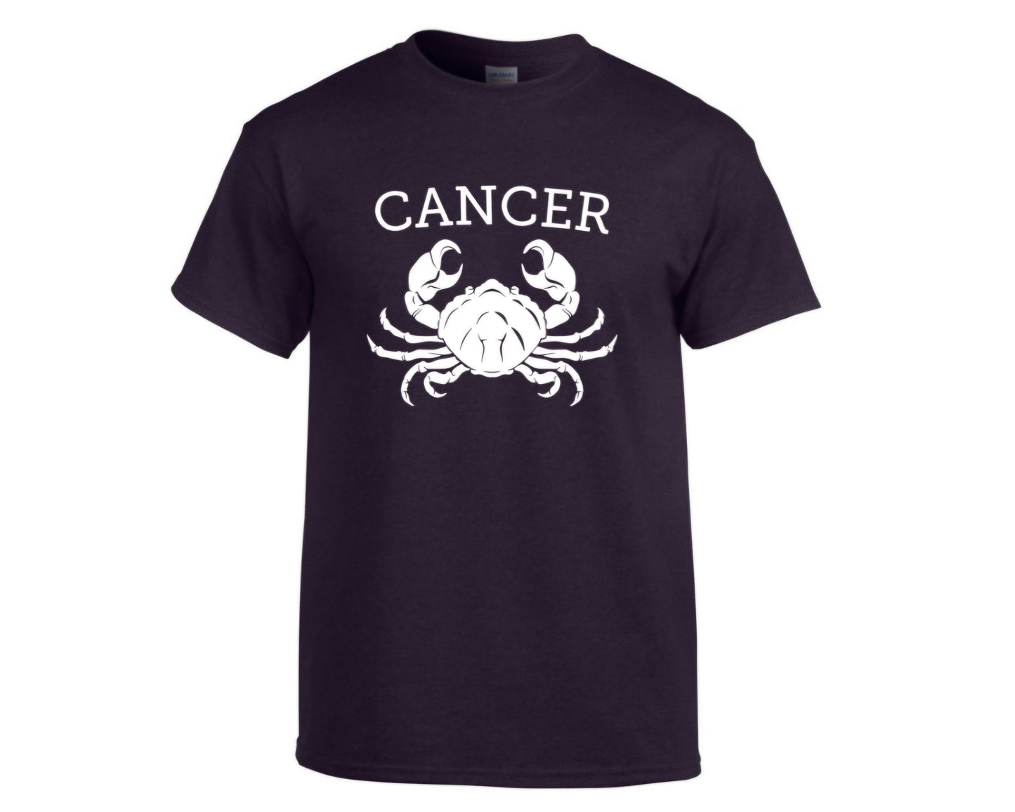 Men's Cancer Zodiac T-Shirts