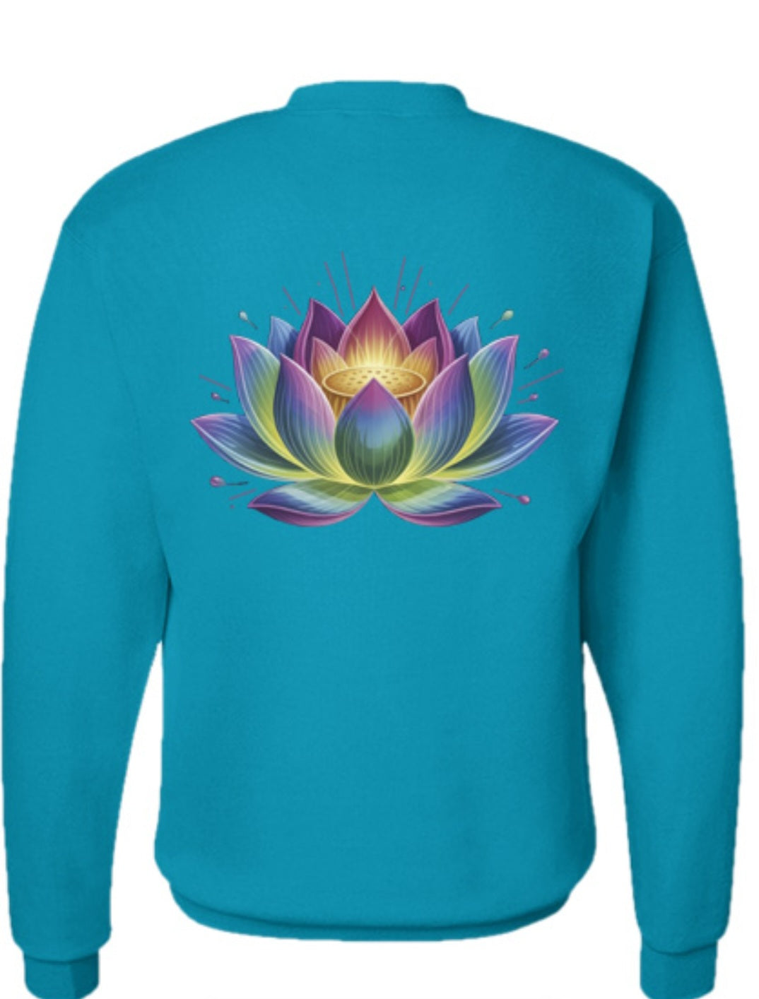 Dream Plan Execute Sweatshirt